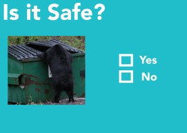 Collateral example for Looking Out for the Little Guy campaign. 