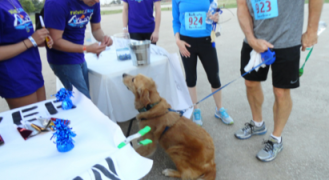 Screen Shot 2014-10-28 at 8.57.07 PM